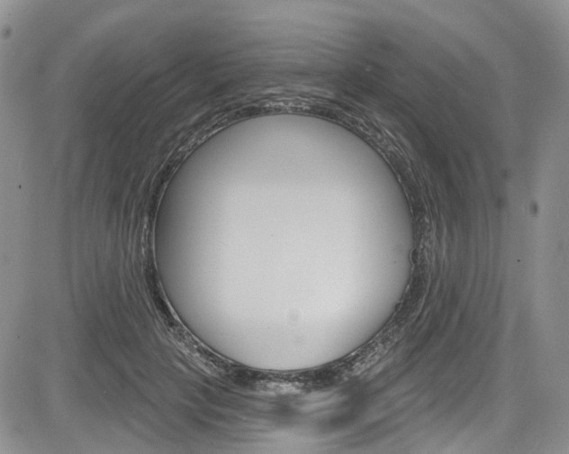 X0000085760649200703160904