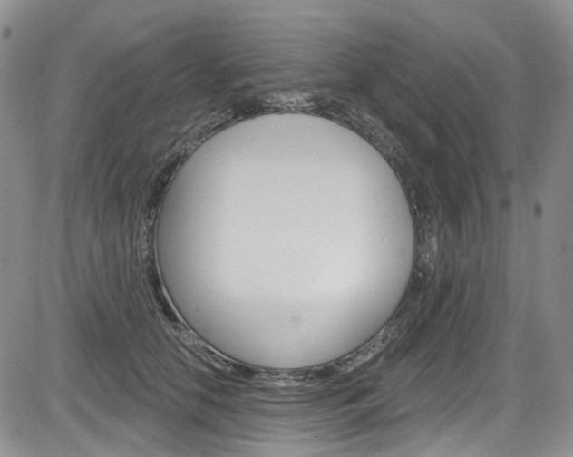 X0000085760658200703160905