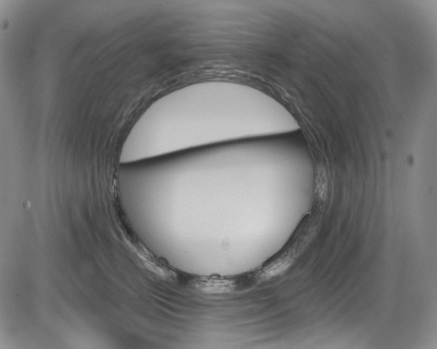X0000085760670200703160905