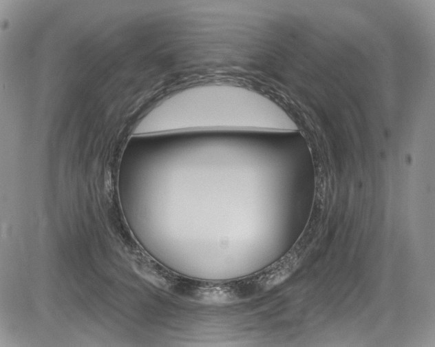 X0000085760704200703160903