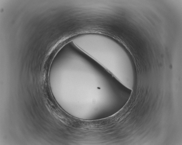 X0000085760723200703160902