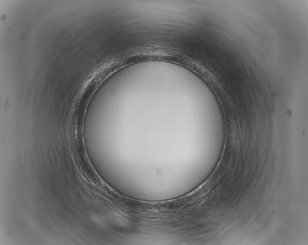 X0000085760731200703160903