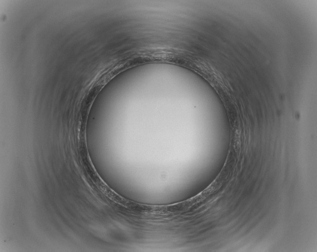 X0000085760739200703160903