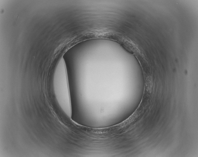 X0000085760740200703160903