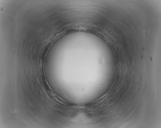 X0000085760747200703160903