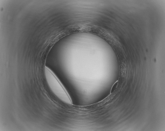 X0000085760748200703160903