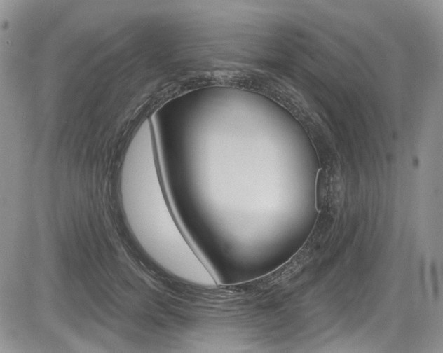 X0000085760750200703160903