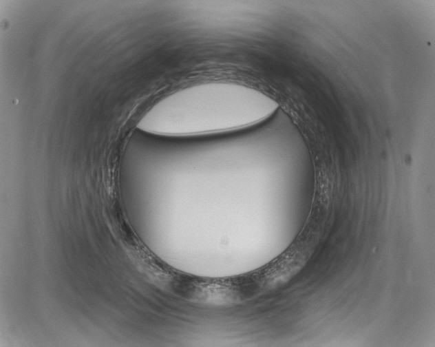 X0000085760755200703160903