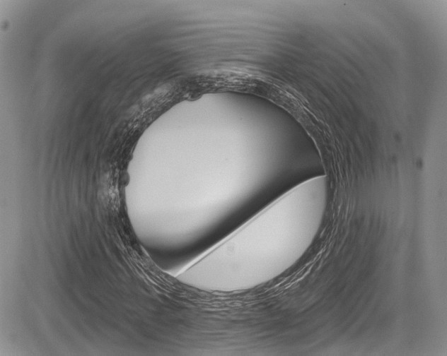 X0000085760771200703160902