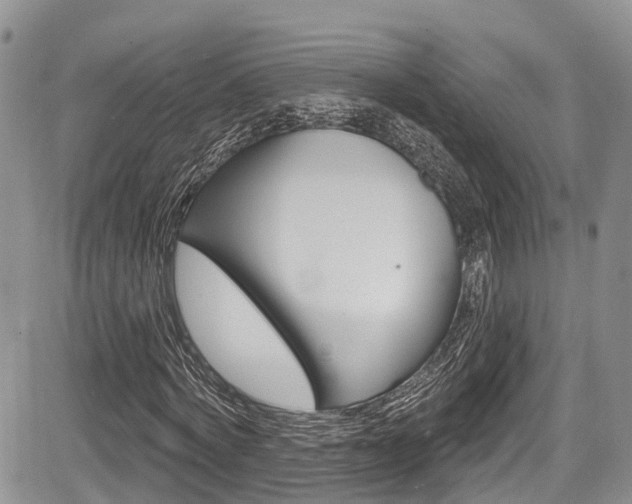 X0000085760772200703160902