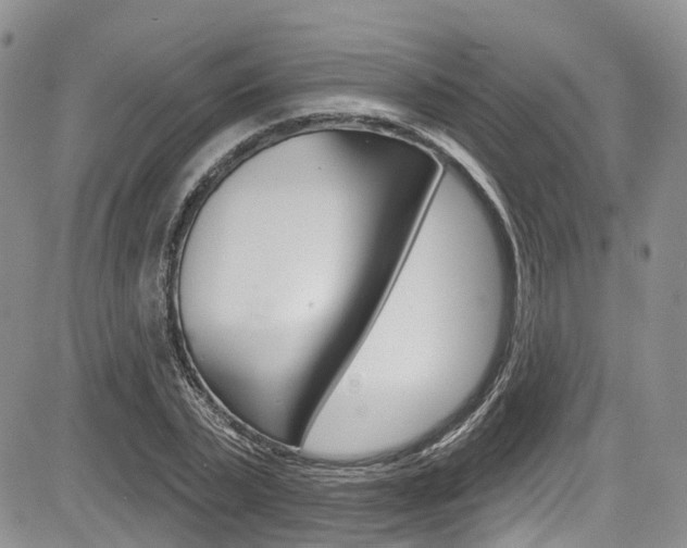 X0000085760783200703160902