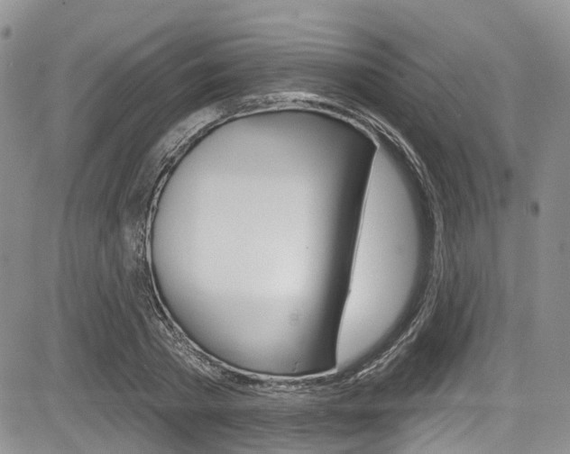 X0000085760785200703160902