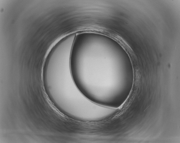 X0000085760788200703160902