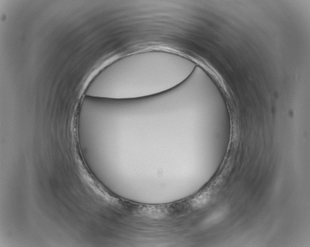 X0000085760806200703160902