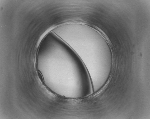 X0000085760812200703160902