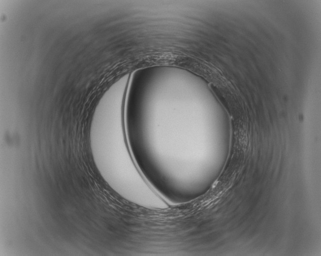 X0000085760818200703160901