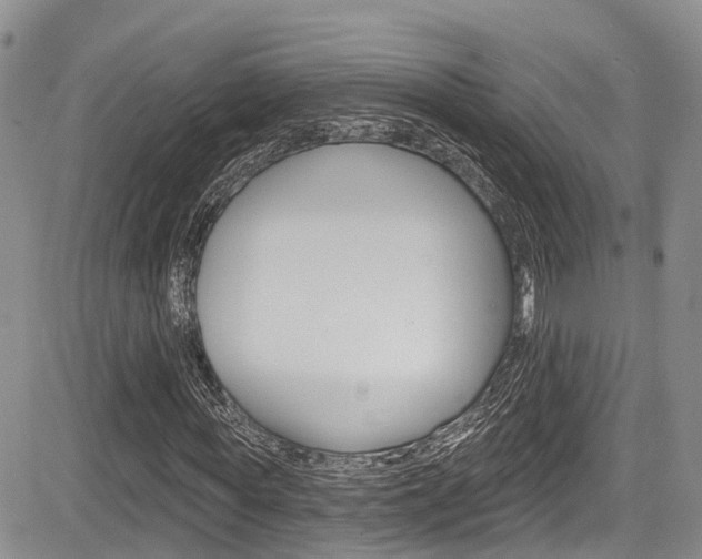 X0000085760819200703160901