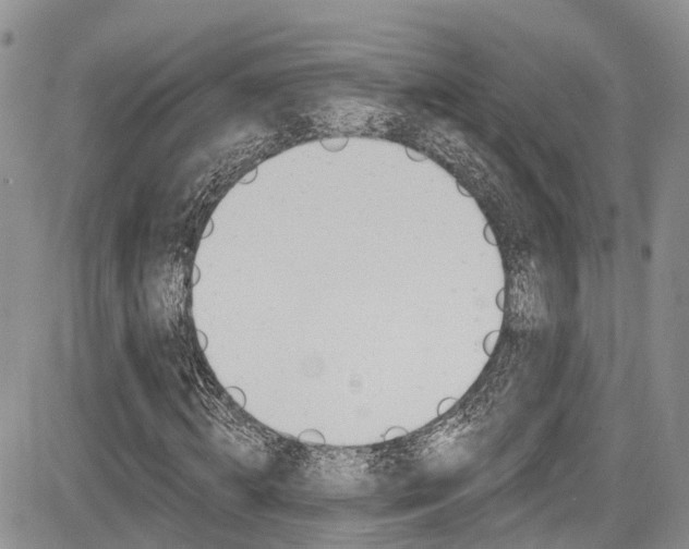 X0000085760820200703160901