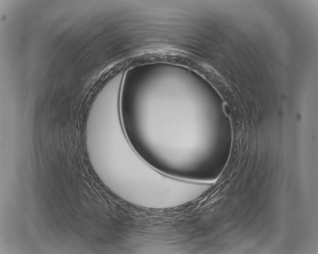 X0000085760822200703160901
