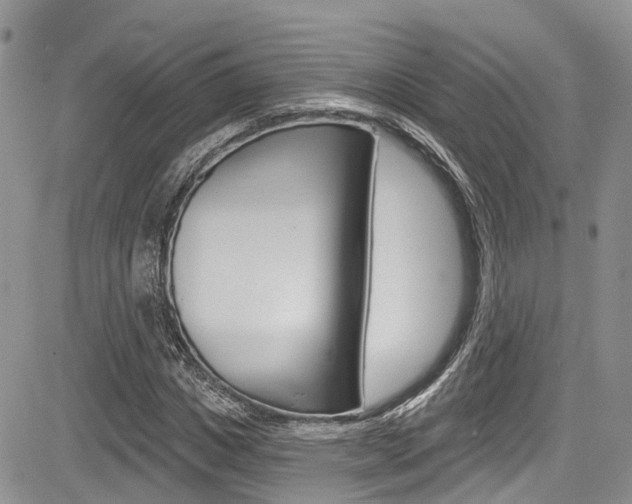 X0000085760825200703160901