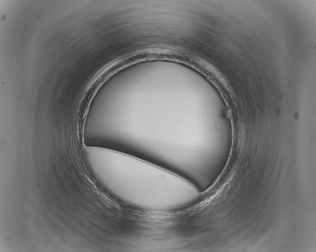 X0000085760829200703160901