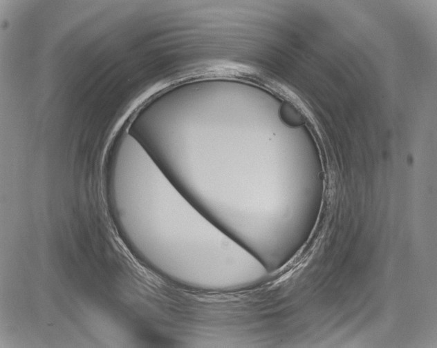 X0000085760835200703160901