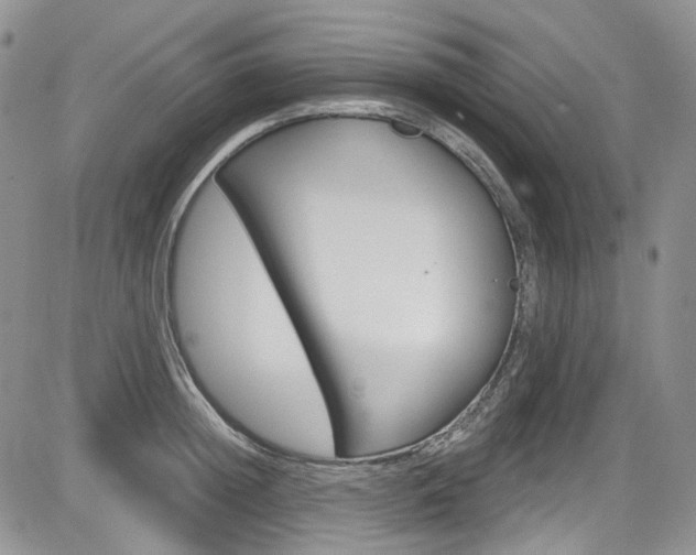 X0000085760852200703160901