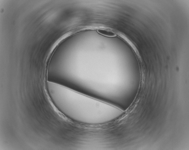 X0000085760861200703160902