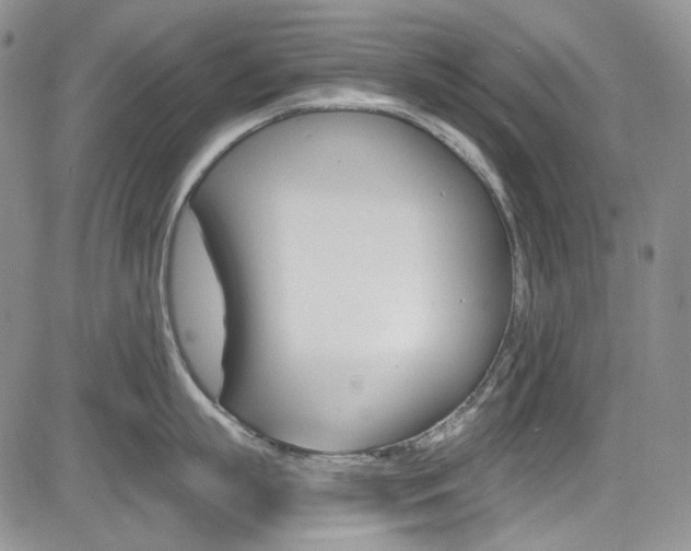 X0000085760863200703160902