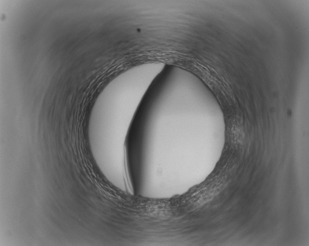 X0000085760865200703160901