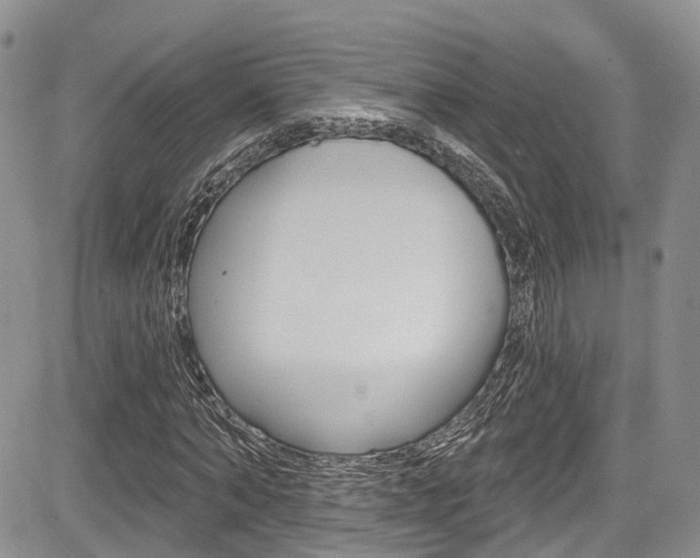 X0000085760870200703160901
