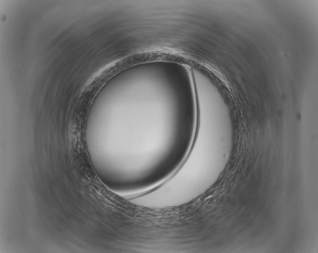 X0000085760872200703160901