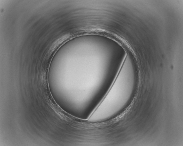 X0000085760881200703160901