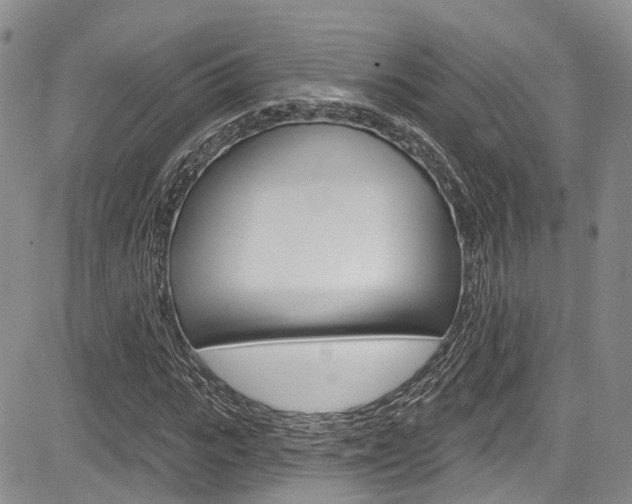 X0000085760919200703160859