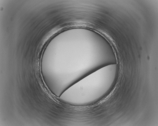 X0000085760933200703160900