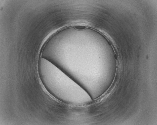 X0000085760941200703160900