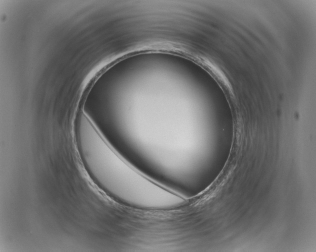 X0000085760944200703160900