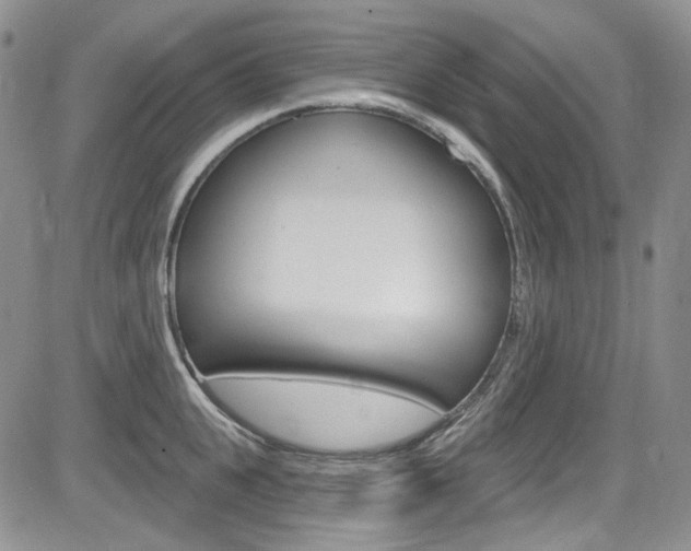 X0000085760951200703160900