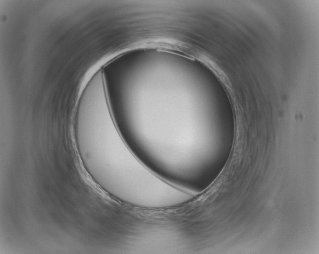X0000085760960200703160900