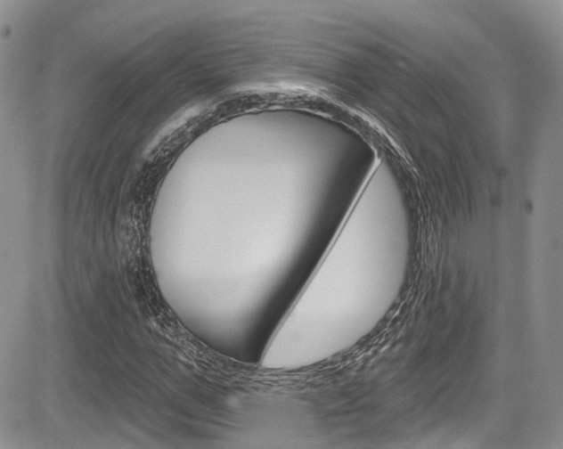 X0000085760967200703160859