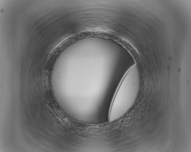 X0000085760968200703160859
