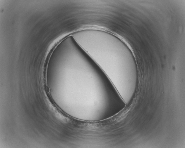 X0000085760995200703160859