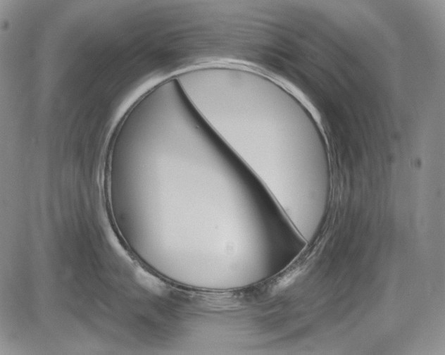 X0000085761007200703160858