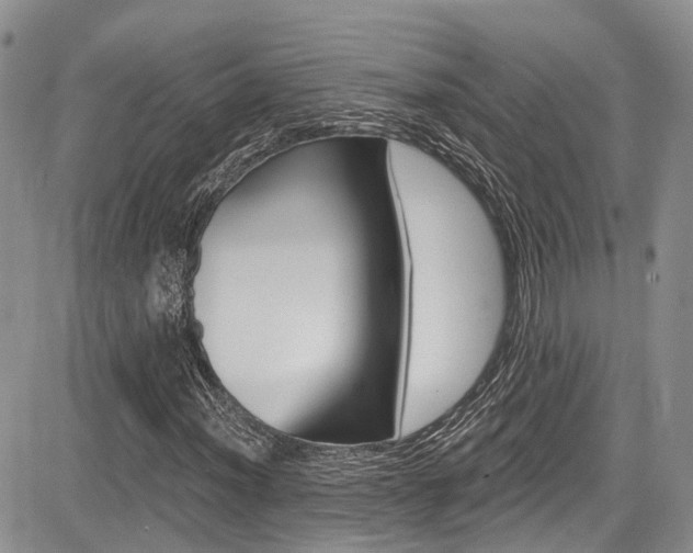 X0000085761012200703160858