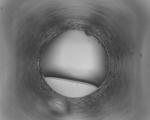 X0000085761013200703160858