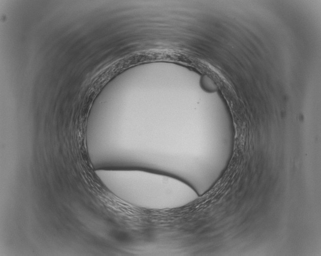 X0000085761015200703160858
