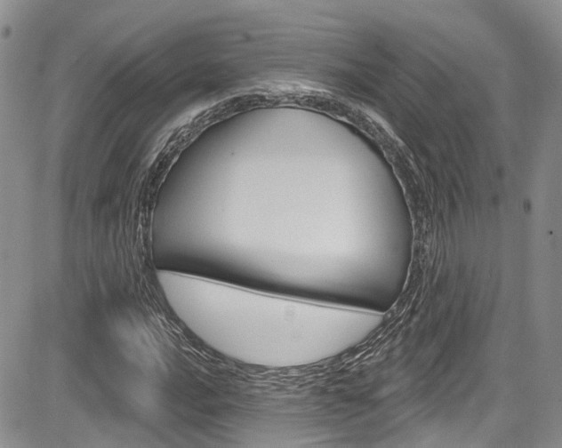 X0000085761016200703160858