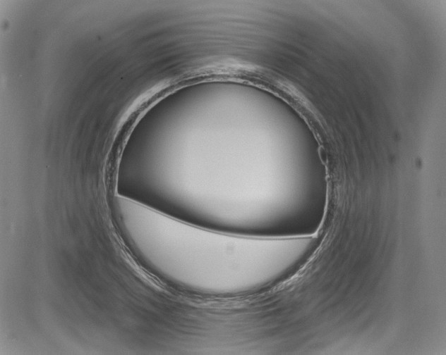 X0000085761026200703160858