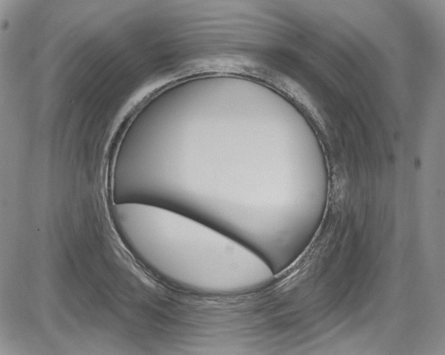 X0000085761035200703160858