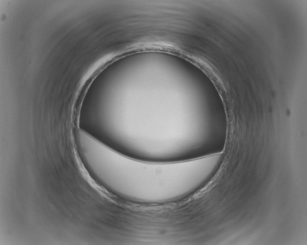 X0000085761038200703160858